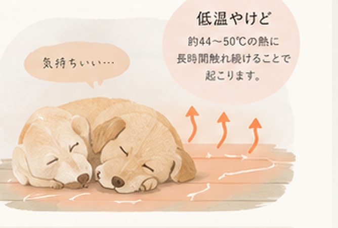 暖かい床の上で身を寄せて眠る2匹の犬の図。「気持ちいい…」の吹き出しと、約44〜50℃の熱に長時間触れ続けることで低温やけどが起こる、という注意書きが添えられている