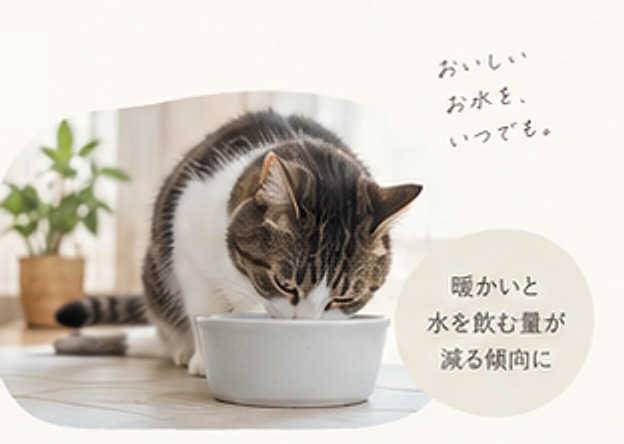 器の水を飲む猫の写真。暖かいと水を飲む量が減る傾向がある、という吹き出しが添えられている